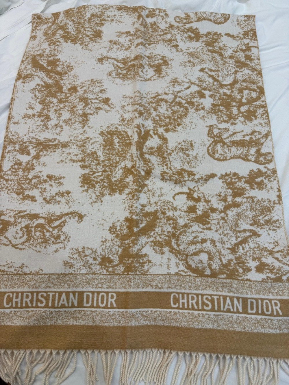 Dior Cream and Tan Toile Fringe Throw Blanket